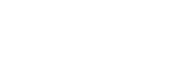 Danceland Ballet Academy